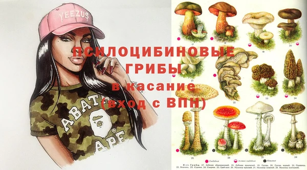 гидропоника Осинники