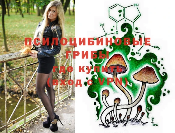 spice Абинск
