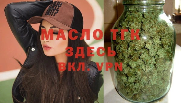 молекула духа Болохово