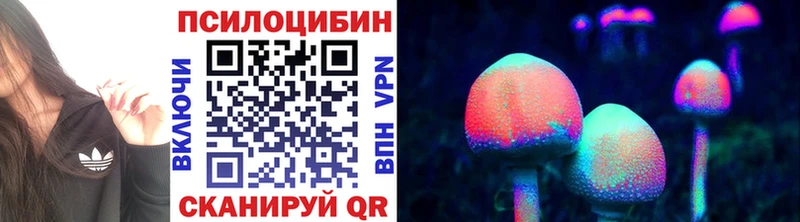 Псилоцибиновые грибы Psilocybe  mega tor  Партизанск 